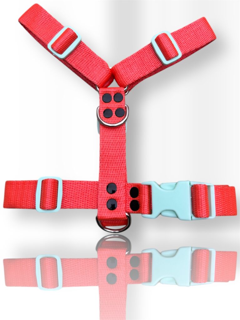 pretal para perro, pretal H, pretal h para perro