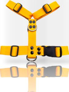 pretal para perro, pretal H, pretal h para perro