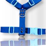 pretal para perro, pretal H, pretal h para perro