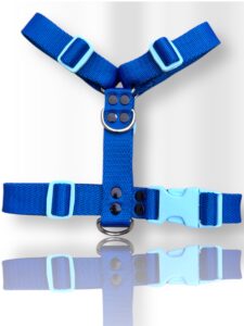 pretal para perro, pretal H, pretal h para perro