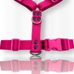 pretal para perro, pretal H, pretal h para perro