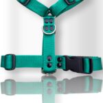 pretal para perro, pretal H, pretal h para perro