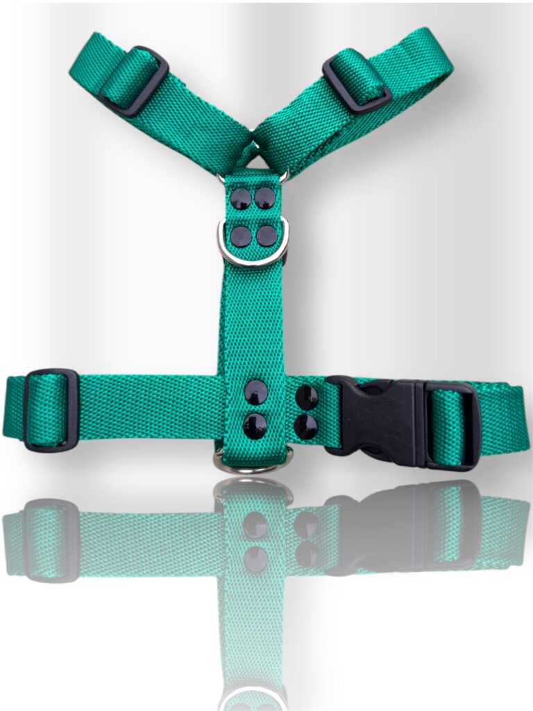 pretal para perro, pretal H, pretal h para perro
