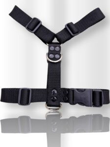 pretal para perro, pretal H, pretal h para perro