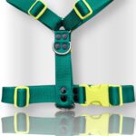 pretal para perro, pretal H, pretal h para perro