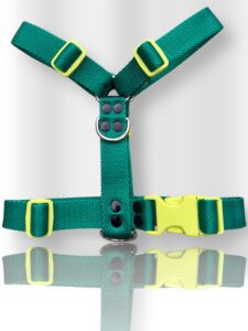 pretal para perro, pretal H, pretal h para perro