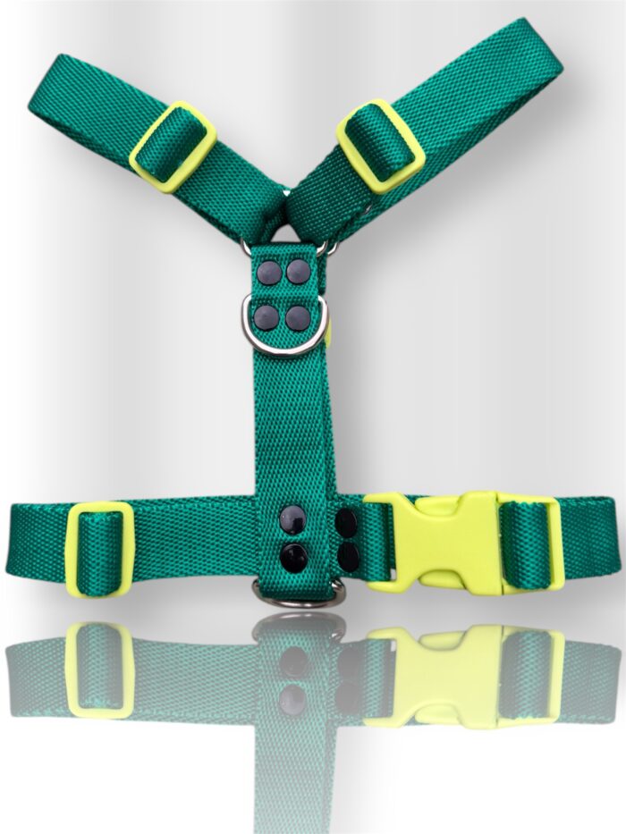 pretal para perro, pretal H, pretal h para perro
