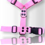 pretal para perro, pretal H, pretal h para perro