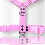 pretal para perro, pretal H, pretal h para perro