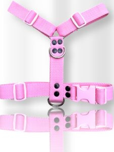 pretal para perro, pretal H, pretal h para perro