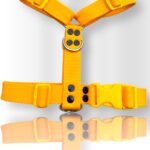 pretal para perro, pretal H, pretal h para perro