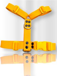 pretal para perro, pretal H, pretal h para perro