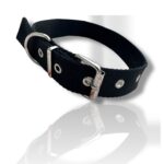 COLLAR LISO NEGRO, COLLAR PARA PERRO, COLLAR NEGRO DE PERRO