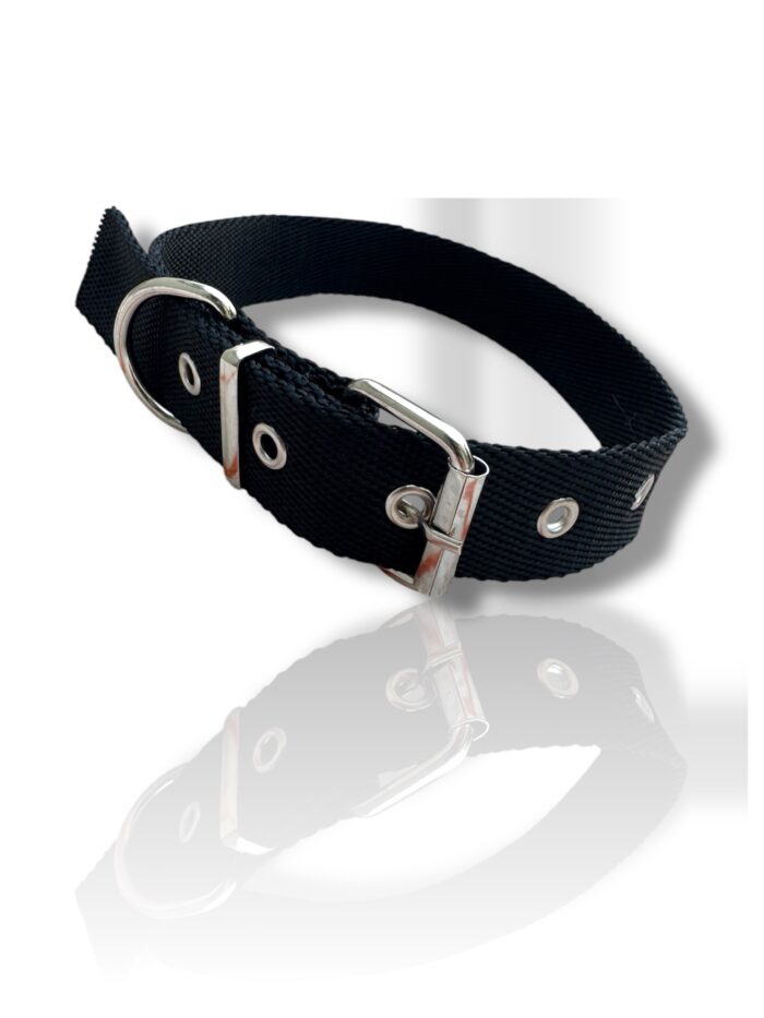 COLLAR LISO NEGRO, COLLAR PARA PERRO, COLLAR NEGRO DE PERRO