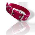 collar fucsia de perro, collar fucsia, collar para perro