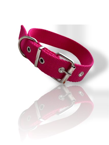 collar fucsia de perro, collar fucsia, collar para perro