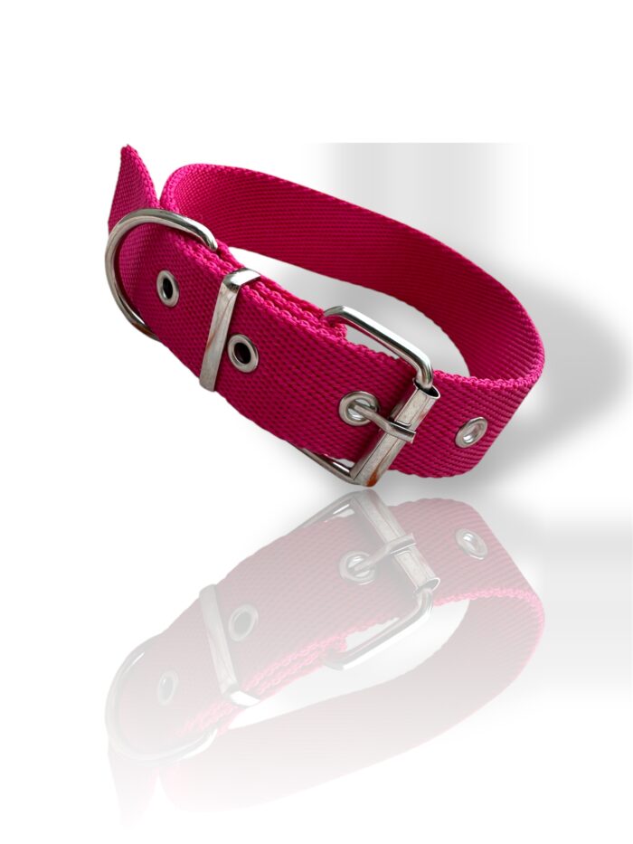 collar fucsia de perro, collar fucsia, collar para perro