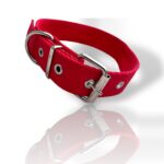 COLLAR LISO ROJO, collar de perro, collar de gato, collares