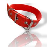 COLLAR PARA PERRO, COLLAR NEGRO DE PERRO, talles de collares para perro, collar de perro, collar con hebilla, collar para gato, collar de gato