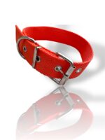 COLLAR PARA PERRO, COLLAR NEGRO DE PERRO, talles de collares para perro, collar de perro, collar con hebilla, collar para gato, collar de gato