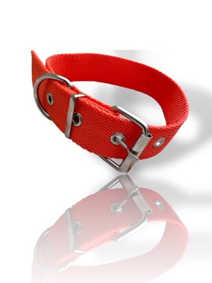 COLLAR PARA PERRO, COLLAR NEGRO DE PERRO, talles de collares para perro, collar de perro, collar con hebilla, collar para gato, collar de gato