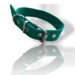 COLLAR LISO VERDE