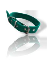 COLLAR LISO VERDE