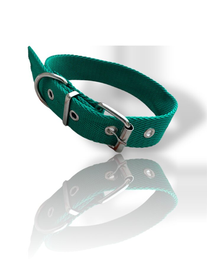 COLLAR LISO VERDE