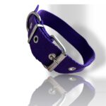 COLLAR LISO VIOLETA