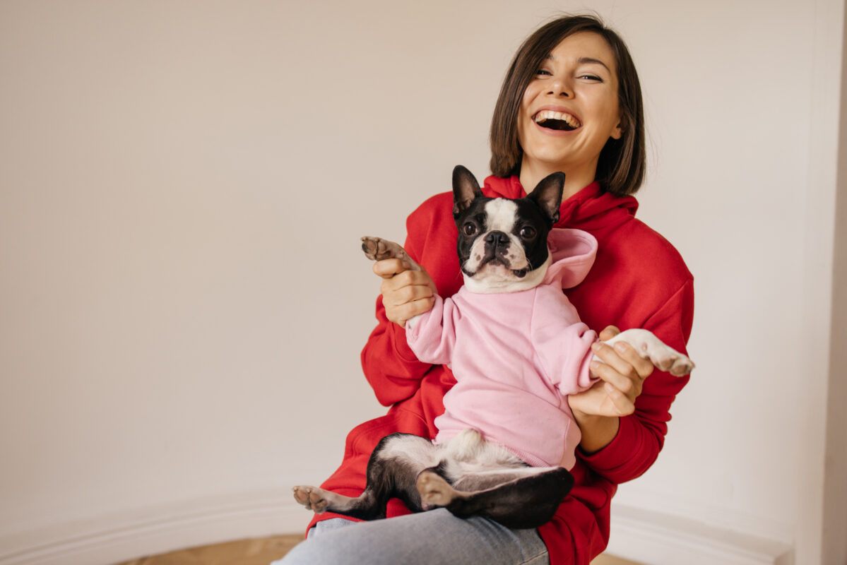 Buzos para mascotas al por mayor