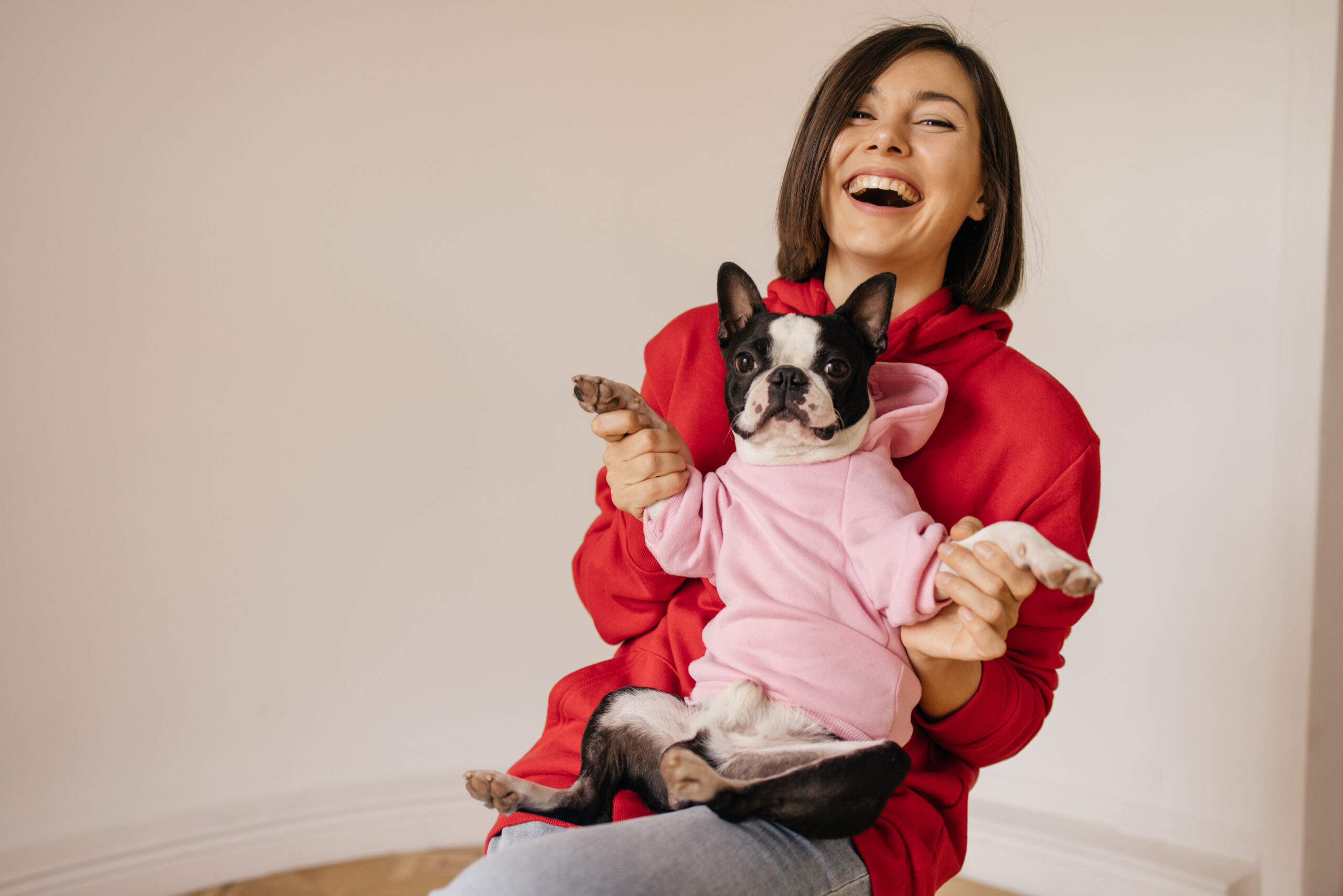 Buzos para mascotas al por mayor