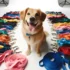 Cómo armar combos ganadores de accesorios para mascotas