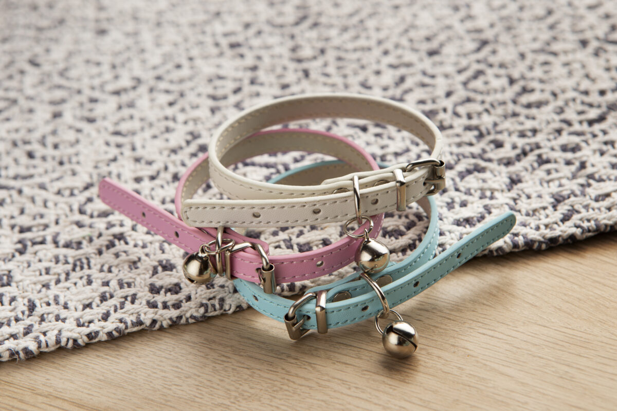 Collares para mascotas al por mayor