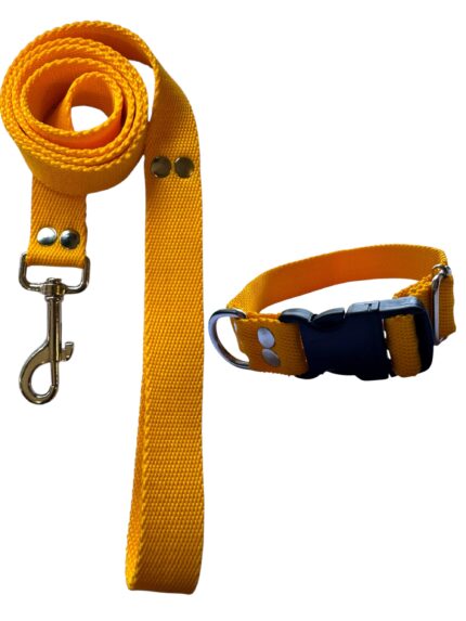 Conjunto Collar Regulable y Correa Amarillo