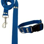 Conjunto Collar Regulable y Correa Azul