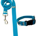 Conjunto Collar Regulable y Correa Celeste