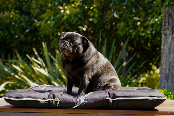 ALMOHADONES ANTIDESGARRO - FLORES - Imagen 4