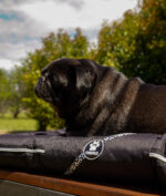 ALMOHADONES ANTIDESGARRO FLORES - Imagen 4