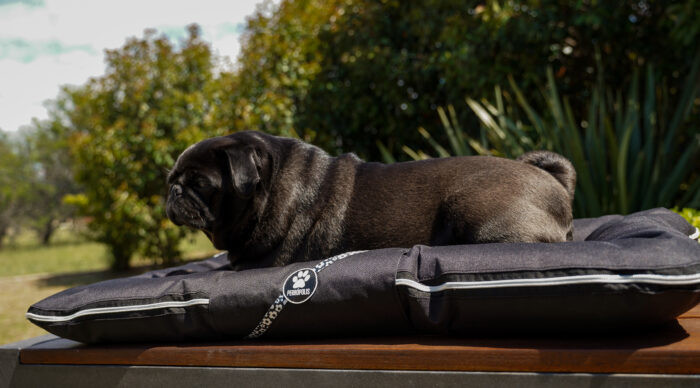 ALMOHADONES ANTIDESGARRO - FLORES - Imagen 3