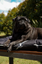 ALMOHADONES ANTIDESGARRO FLORES - Imagen 3