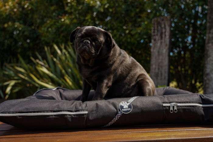 ALMOHADONES ANTIDESGARRO - CUADRILLE - Imagen 2