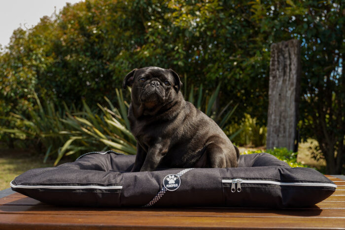 ALMOHADONES ANTIDESGARRO - CUADRILLE - Imagen 3