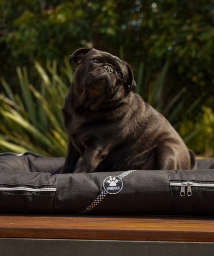 ALMOHADONES ANTIDESGARRO CUADRILLE