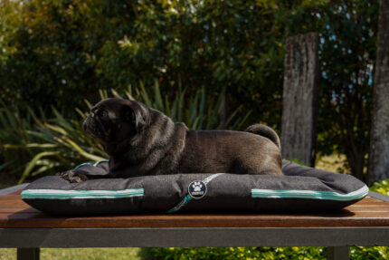 ALMOHADONES ANTIDESGARRO GRAFITTI CELETE