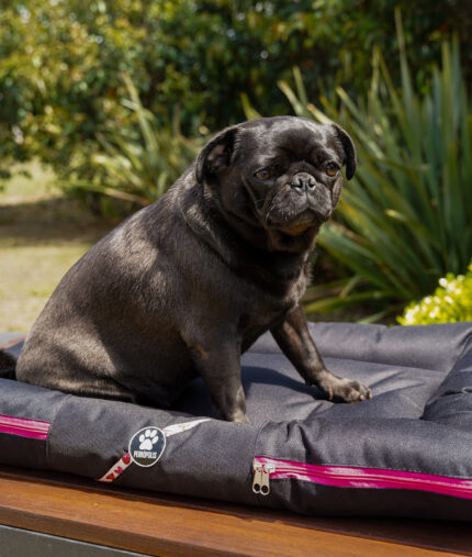 ALMOHADONES ANTIDESGARRO CORAZON