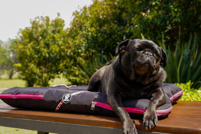 ALMOHADONES ANTIDESGARRO - CORAZON - Imagen 3