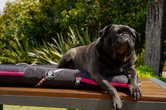 ALMOHADONES ANTIDESGARRO - CORAZON - Imagen 3