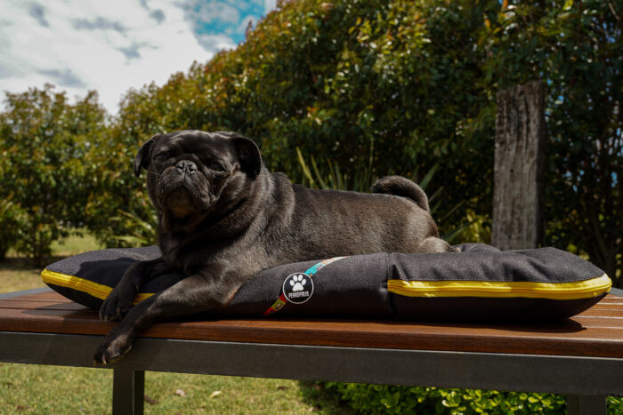 ALMOHADONES ANTIDESGARRO - HISTORIETA - Imagen 3