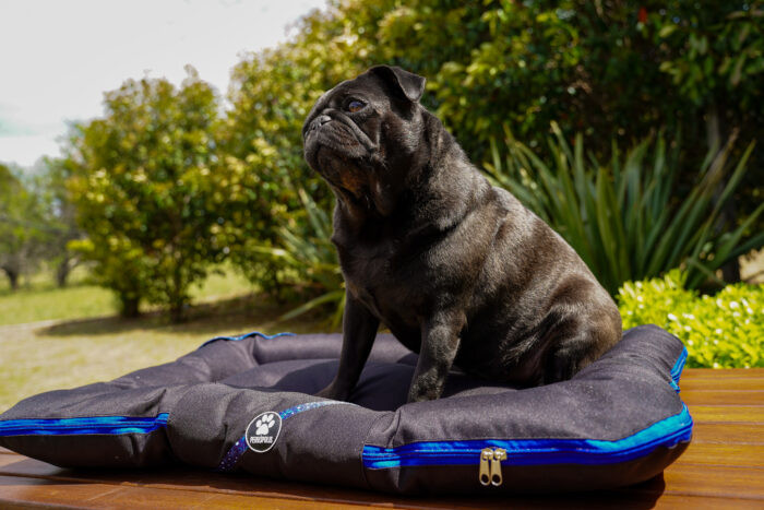 ALMOHADONES ANTIDESGARRO - LIBELULA - Imagen 2