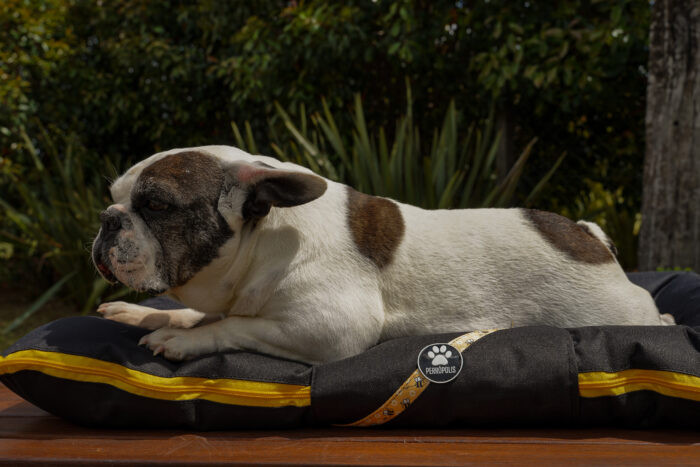 ALMOHADONES ANTIDESGARRO - ABEJAS - Imagen 2